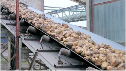Sugar-beet-processing-equipment.jpg