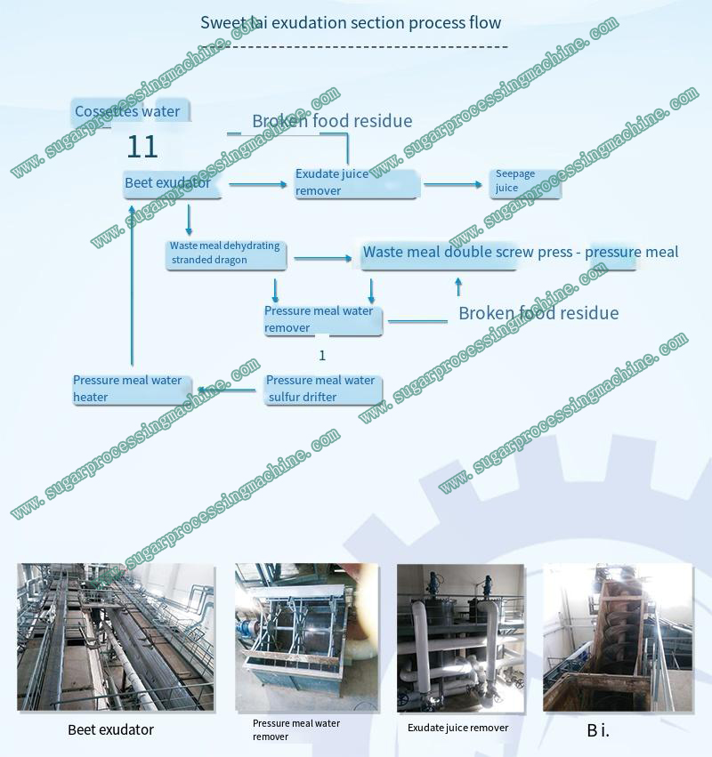 55Beet-beet-shredded-and-oozing-beet-juice-production-line-machine.jpg
