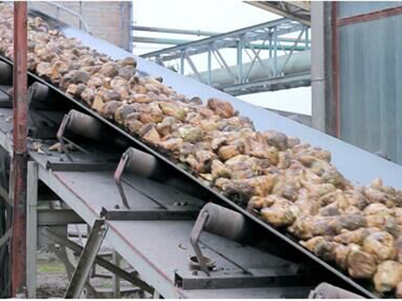 Sugar-beet-processing-machine.jpg