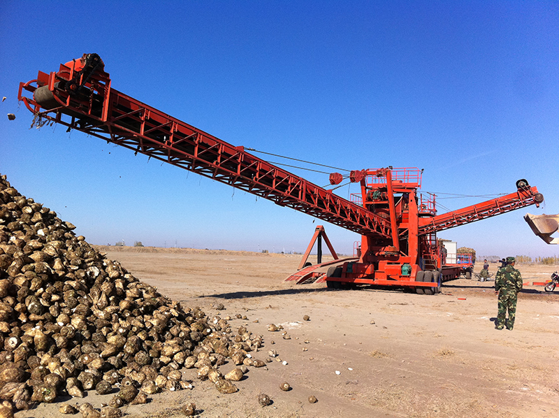 Beet stacking machine
