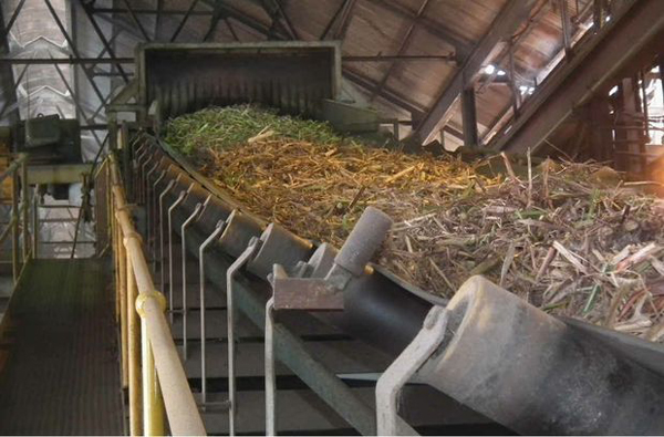Classification-of-Equipment-for-Brown-sugar-powder-Production-Lines-from-Sugarcane.jpg